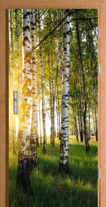 Samolepiaca fólia Decors24 brezový les 95 × 205 cm