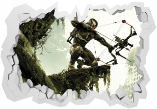 Destké samolepky - Crysis 3 prehľad 3D nálepka 100x70cm
