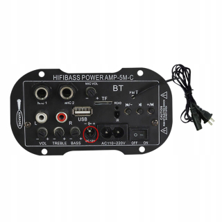 DIY 220V 12V Bluetooth Subwoofer Double Board