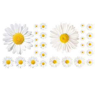 Destké samolepky - Daisy tapety kvitnú okno priľne