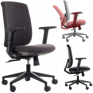 Kancelárske kreslo - Ergonomické kreslo Zn-605-B grafit z kmeňa