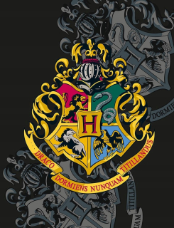 Prikrývka, prehozy na posteľ - Fleece prikrývka 130 x 170 cm Harry Potter