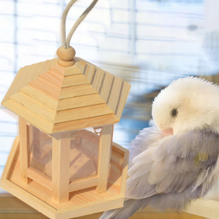 Kúpeľňové zostava nábytku - Manažment faulátora kŕmenie vtákov pre vtáky pre vtáky pre vtáky