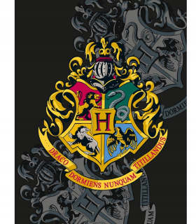 Prikrývka, prehozy na posteľ - Deti pre mládež pre deti 130x170 Harry Potter