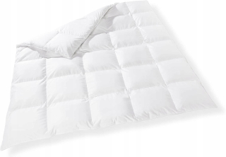 Prikrývka na spanie - Down Quilt 200x220 Lux All -Year Výrobca