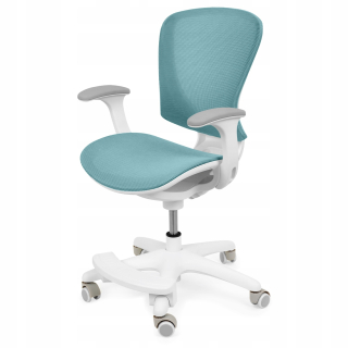 Kreslo do študenskej izby - Detská ergonomická stolička k morskému stolu