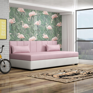 Posteľ do študenskej izby - Mládež Ron 110 Couch +vankúš zadarmo