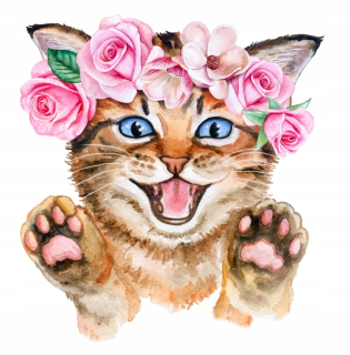 Destké samolepky - Nálepka na stenu Cat Cat Cat 50 cm Eco