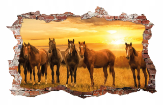 Destké samolepky - Nálepky na stenu dekorácie koní koní 115x75 cm