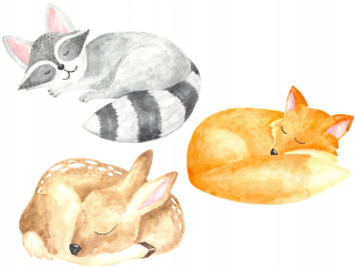 Destké samolepky - Nástenné nálepky spiace zvieratá Fox set 3x40cm