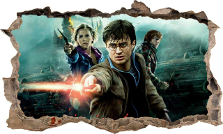 Destké samolepky - Nálepkový plagát Harry Potter 3d xxxxl 100 cm č. 4