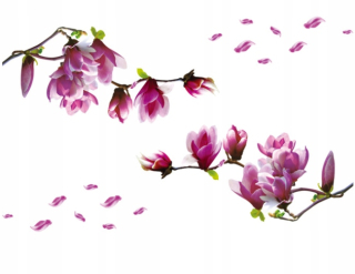 Destké samolepky - Nástenné nálepky Magnolia Magnolia Flowers 2 PCS
