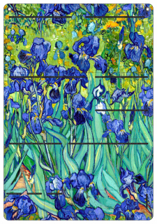 Organizátor steny antracite Irises 45x65 cm