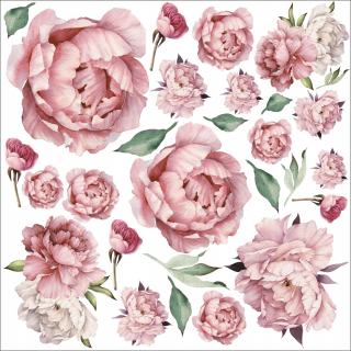 Destké samolepky - Pivonáky nástenné nálepky Peon Roses 100x100 cm k