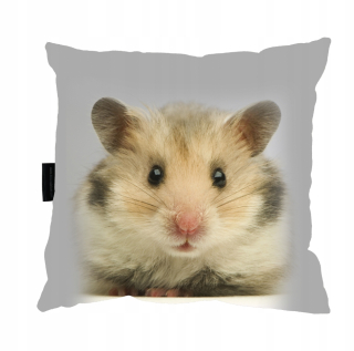 Vankúš na spanie - Vankúš so škrečkom škrečka 40x40 perfektný darček