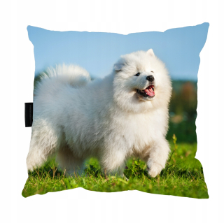 Vankúš na spanie - Vankúš so samoyed psom samoyed perfektný darček