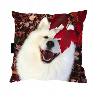 Vankúš na spanie - Vankúš so samoyed psom Samoyed Samojed darček