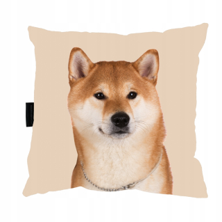Vankúš na spanie - Vankúš so psom Shiba Inu na spánok 40 x 40 darček