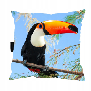 Vankúš na spanie - Tukan Toucan vankúš 40x40 pre darček na spanie