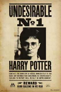 Detský obraz - Plagát Harry Potter nežiaduce č. 1 61x91,5 cm