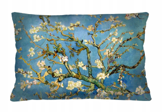Vankúš - elegancia tlač mandle 40 x 60 cm