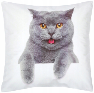 Obliečka na vankúš - Dekoratívne vankúš 40x40 Velor Cat