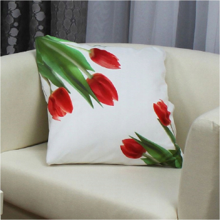 Obliečka na vankúš - Vankúš 60x60 100% bavlna Jasiek