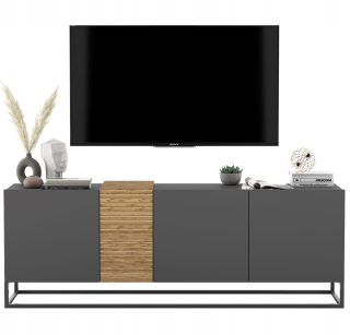 Skrinka pod TV - RTV Loft Cabinet Industrial RTV Fraphit Mat