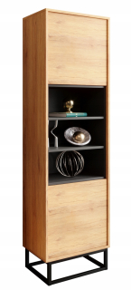 Vitrína do obývačky - Loft Retro Rat Mat Cabinet Operation/Black LFT103B Webová stránka