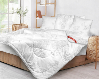 Prikrývka na spanie - Rok -round paket 160 -násobku tlačeného mikrovlákna